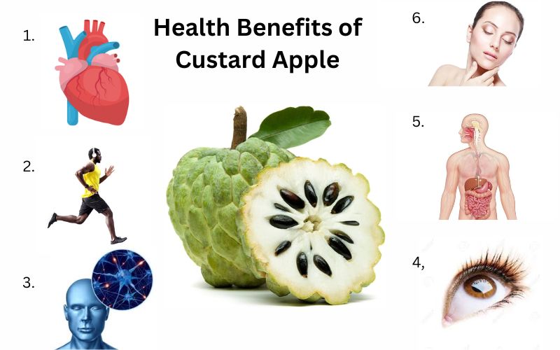 Health Benefits of Custard Apple 