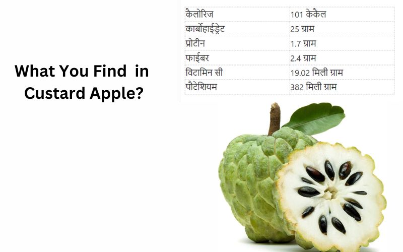 What You Find in Custard Apple?