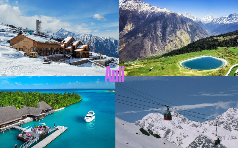 Auli for Honeymoon