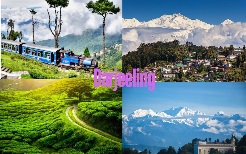 Darjeeling for honeymoon 