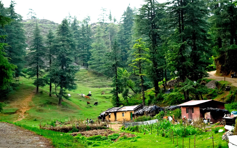 George Everest Mussoorie