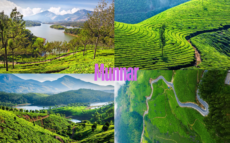 Munnar for honeymoon 