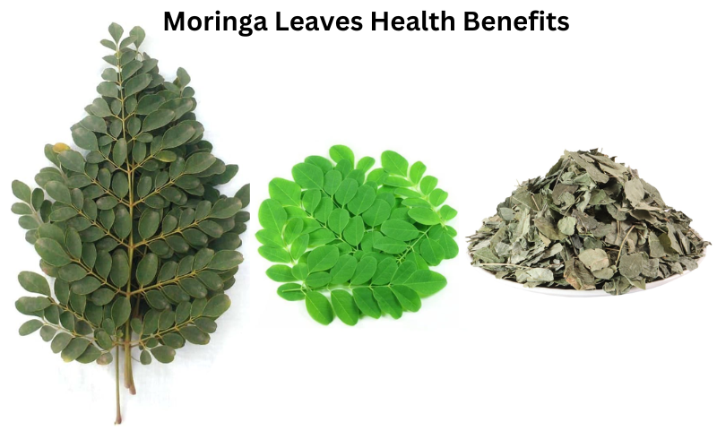 Moringa Leaves Health Benefits