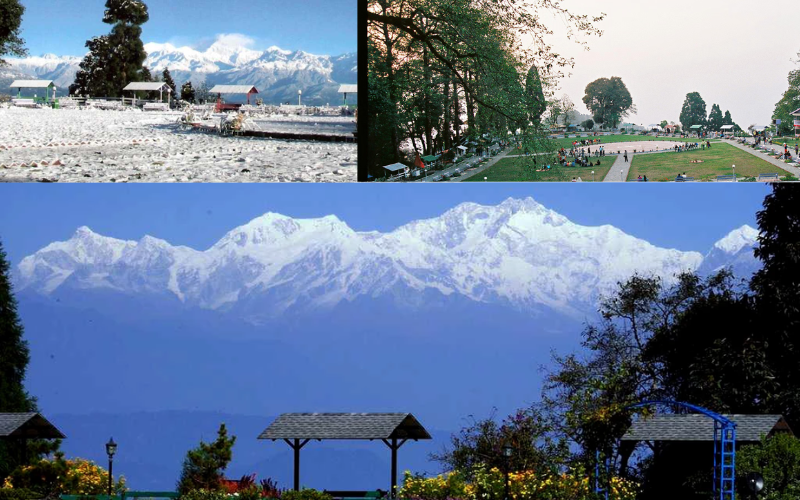 Nightangle park darjeeling 