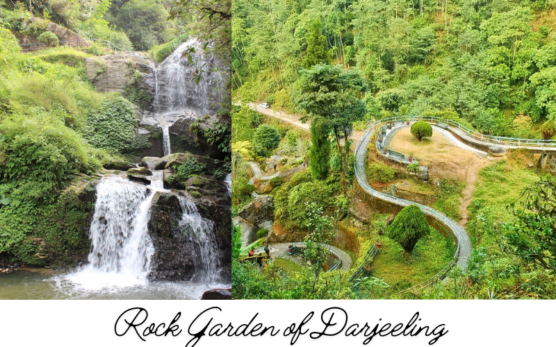 Rock Garden of Darjeeling