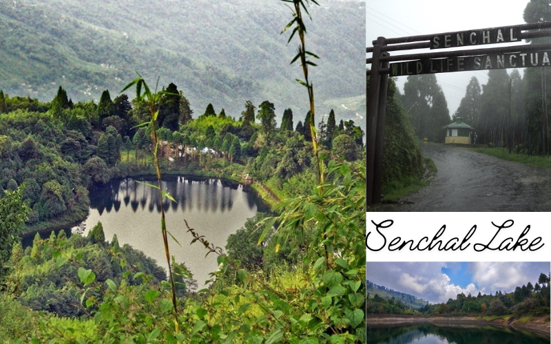 Senchal Lake Darjeeling