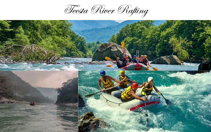 Teesta River Rafting Darjeeling