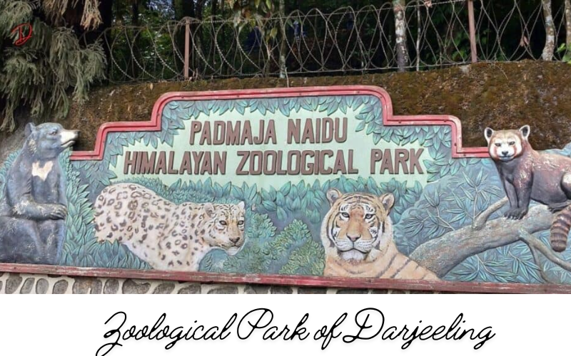 Zoological Park of Darjeeling