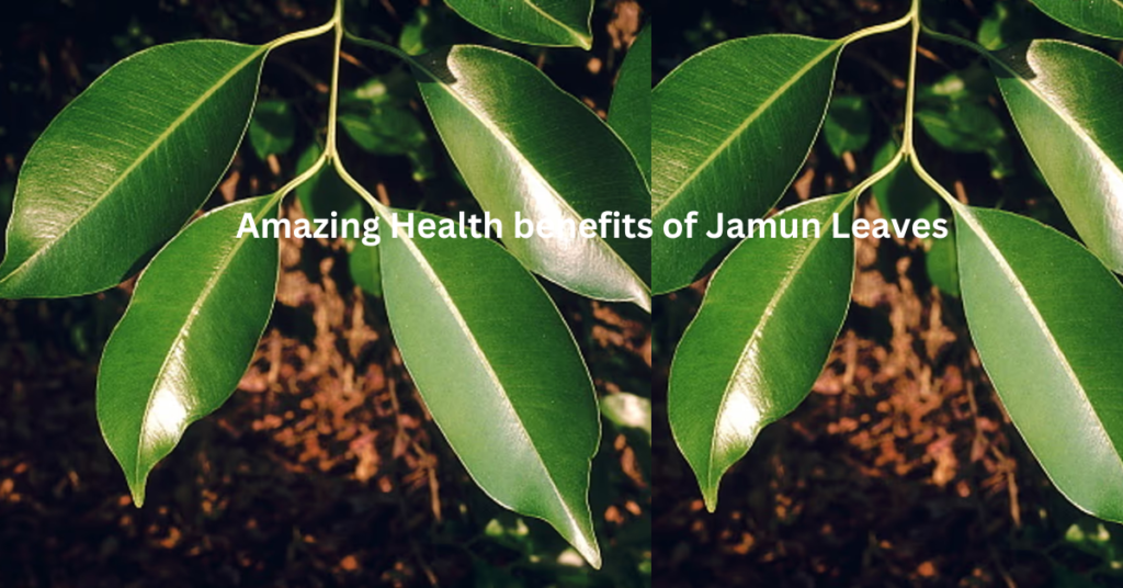 Health Benefits of Jamun Leaves in Hindi