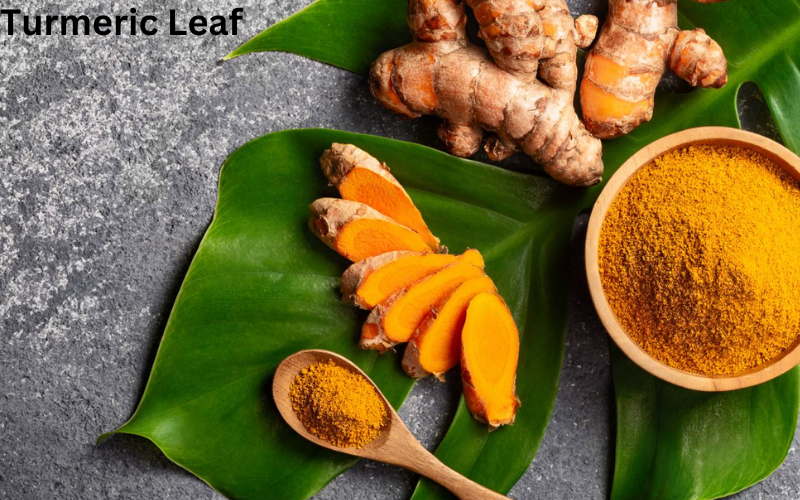 Turmeric Leaf benefits 