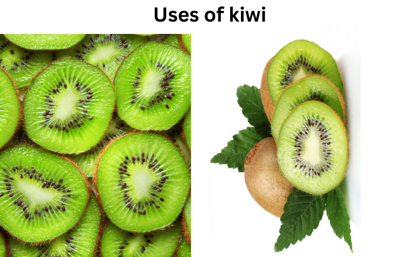 uses of kiwi 