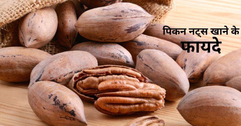 Benefits Of Brazil Nuts In Hindi, Pecans vs Walnut, पिकन नट्स खाने के क्या फायदे