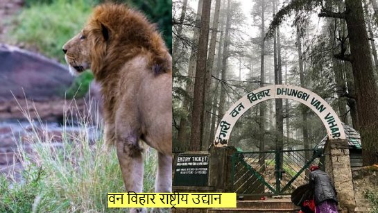 Van Vihar National Park Bhopal