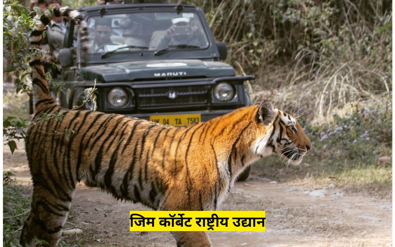 Jim Corbett National Park