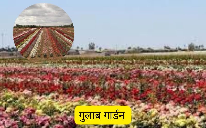 Gulab Garden Pushkar