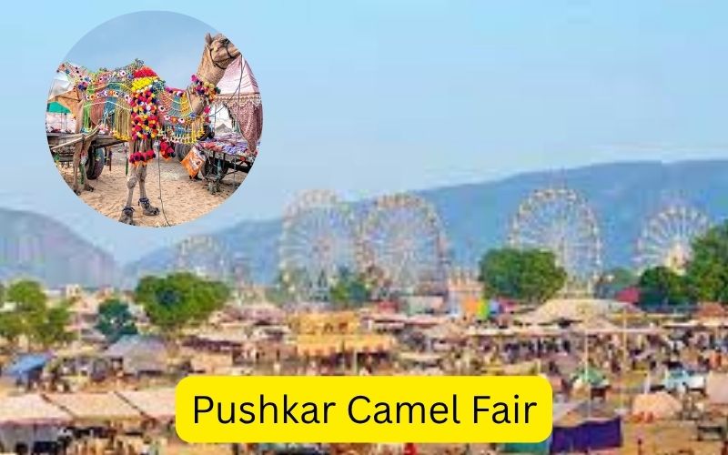 Pushkar Camel Fair